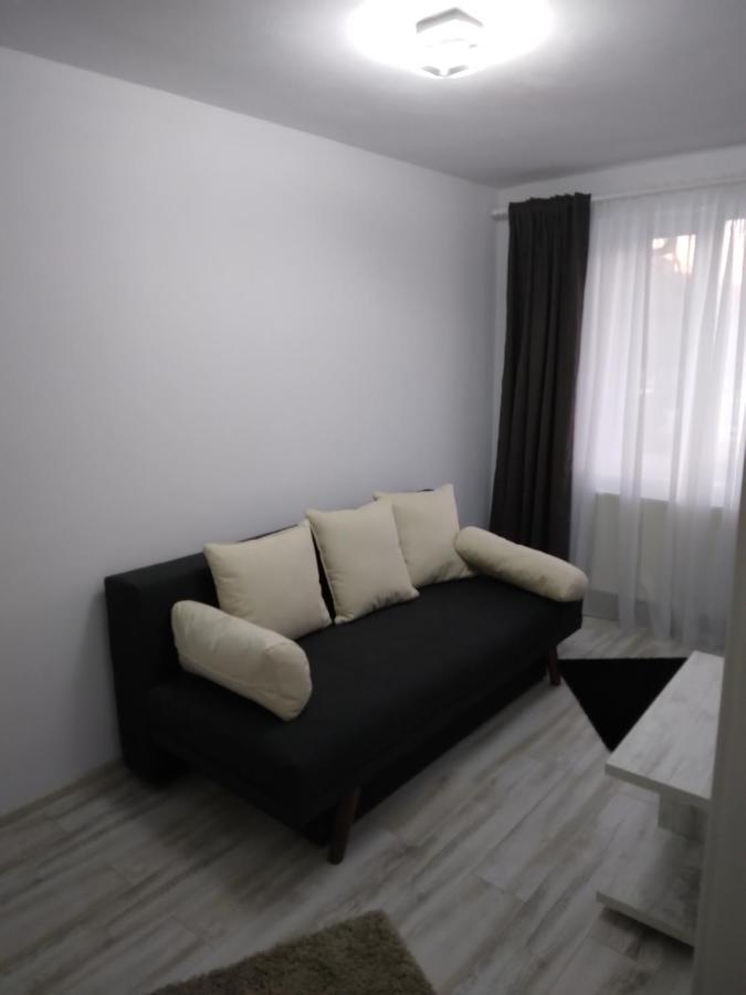 Luxury Apartament Curtea de Argeş Extérieur photo