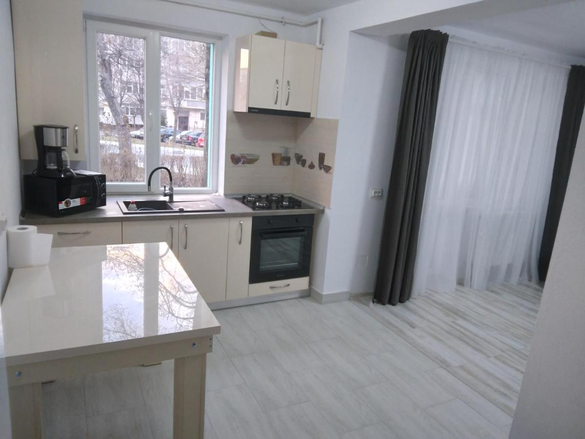 Luxury Apartament Curtea de Argeş Extérieur photo