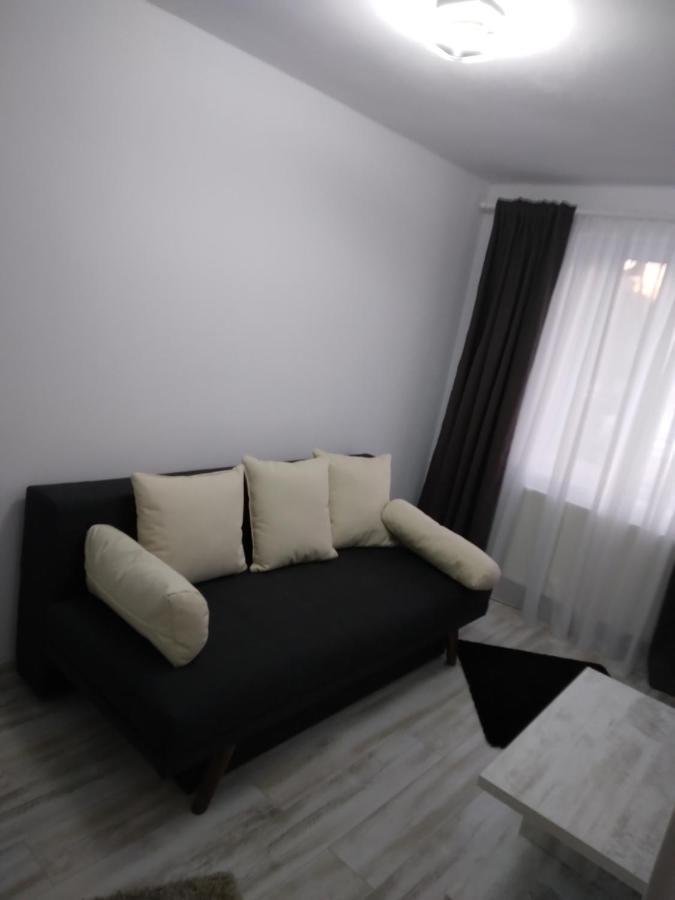 Luxury Apartament Curtea de Argeş Extérieur photo