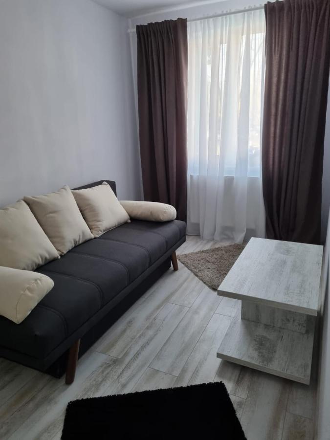 Luxury Apartament Curtea de Argeş Extérieur photo